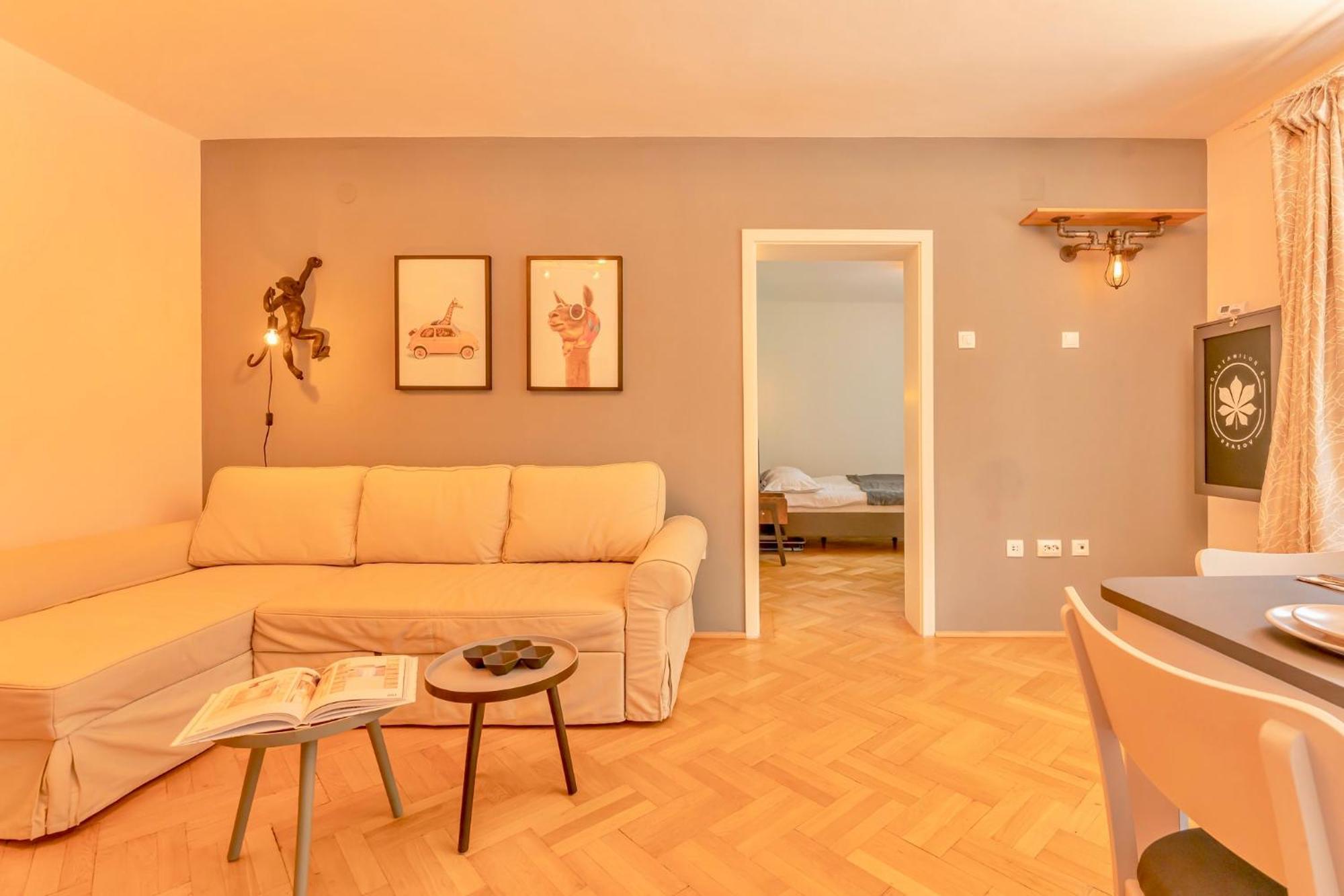 Castanilor 6 - Hip Industrial Apartment Close To City Centre Brasov Luaran gambar